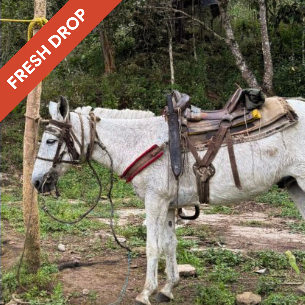 Las Trojas - Washed Venezuelan Single Origin Coffee 200g