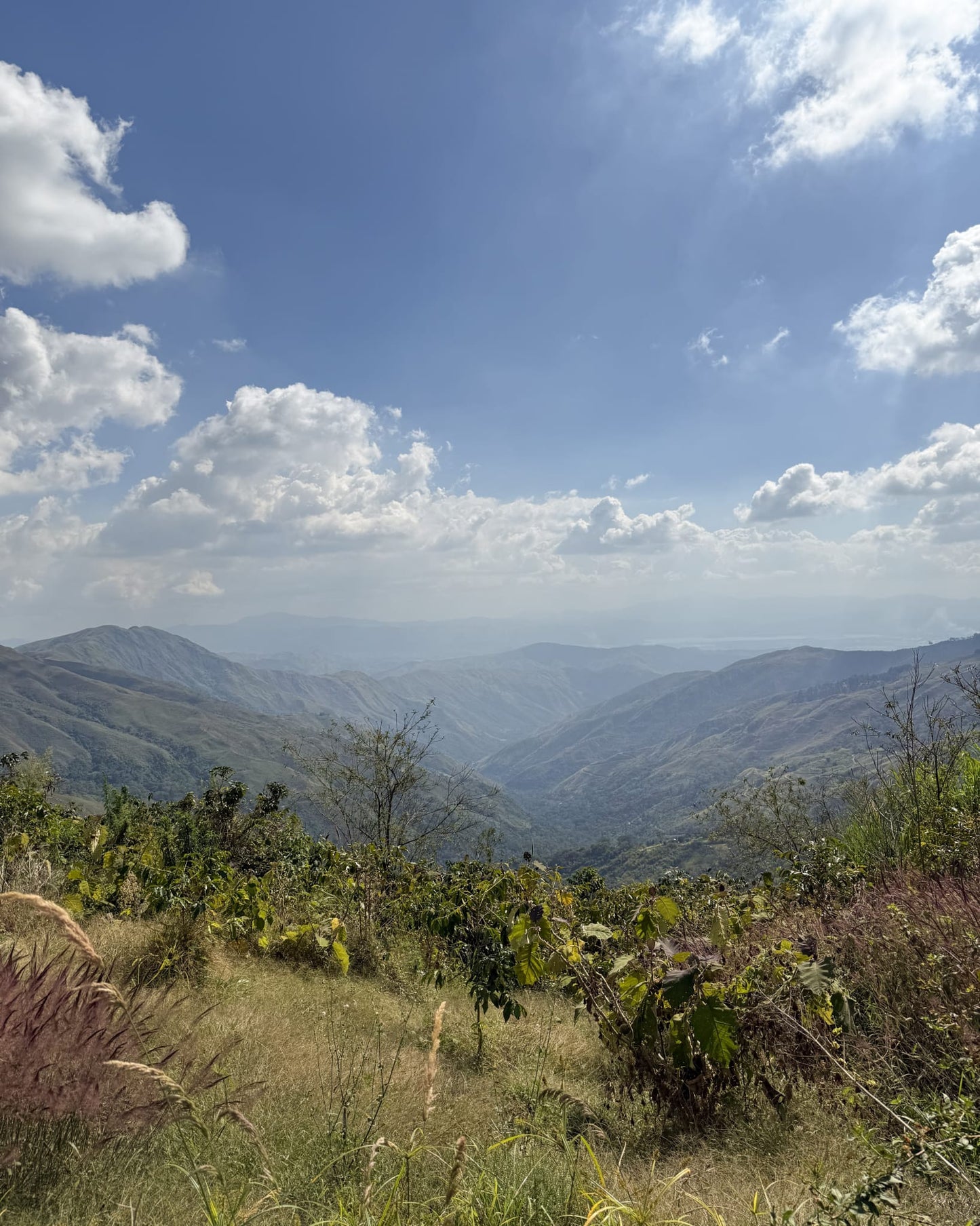 Ronald Pantin - Venezuelan Single Origin Coffee 200g