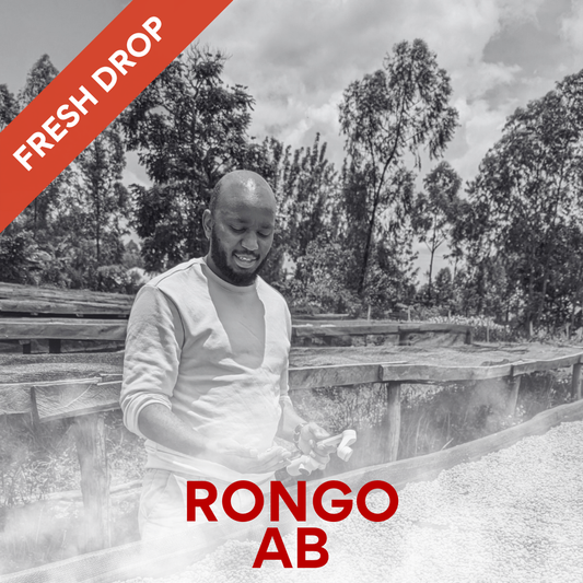 Rongo AB - KENYAN WASHED Single Origin Coffee 200g
