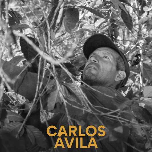 Carlos Ávila - Venezuelan Single Origin (Caripe Coffee) 200g