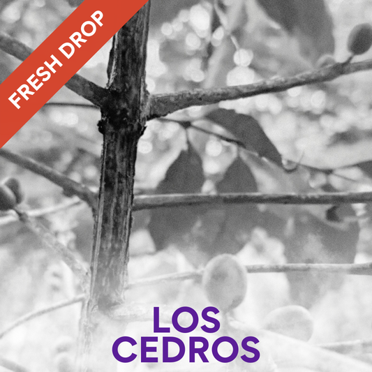 Los Cedros - Natural Venezuelan Single Origin Coffee 200g