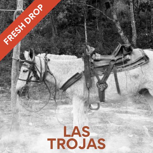 Las Trojas - Washed Venezuelan Single Origin Coffee 200g