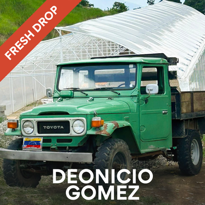 Dionicio Gomez - Honey Red Bourbon -  Guayoyo Coffee Club #06