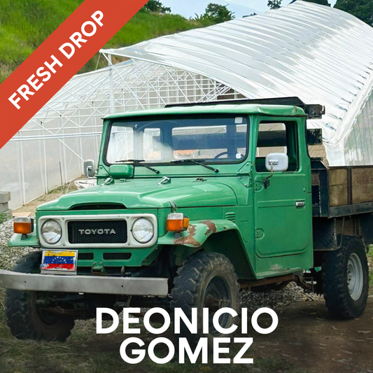 Dionicio Gomez - Honey Red Bourbon -  Guayoyo Coffee Club #06