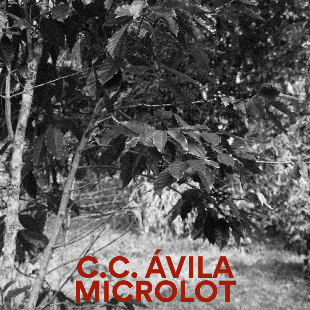 C.C. Avila Microlot - Venezuelan Single Origin Coffee 200g