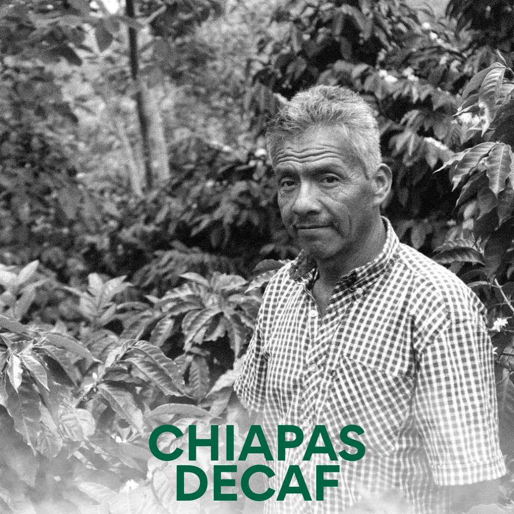 CHIAPAS DECAF - Mexican Single Origin Decaf Coffee 200g