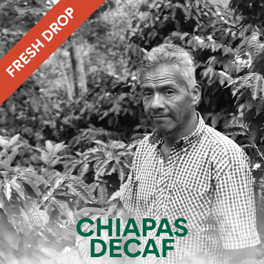 CHIAPAS DECAF - Mexican Single Origin Decaf Coffee 200g