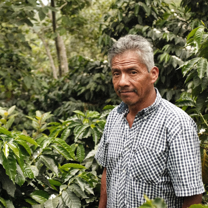 CHIAPAS DECAF - Mexican Single Origin Decaf Coffee 200g