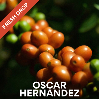 Oscar Hernandez - Decaf Caturra - Colombian Single Origin 200g