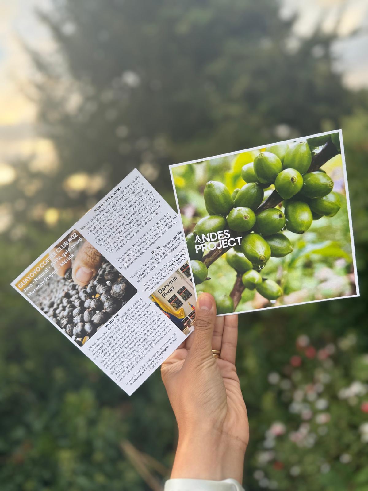 Darveris Rivas - JAVA - Guayoyo Coffee Club #02