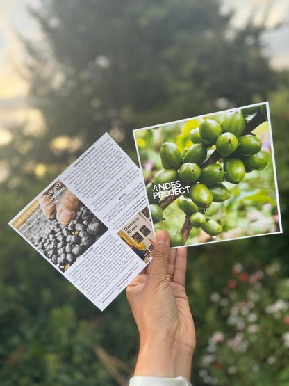 Darveris Rivas - JAVA - Guayoyo Coffee Club #02