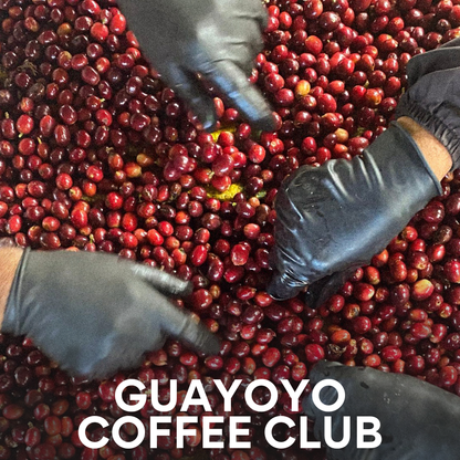 Guayoyo Coffee Club subscription