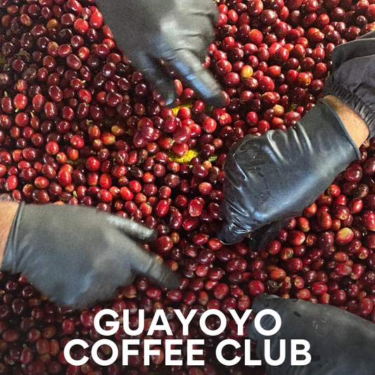 Guayoyo Coffee Club subscription