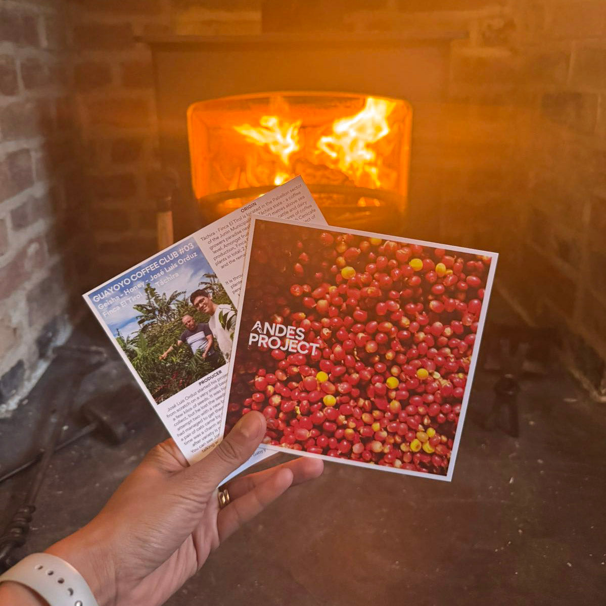 José Luis Orduz - GEISHA - Guayoyo Coffee Club #03