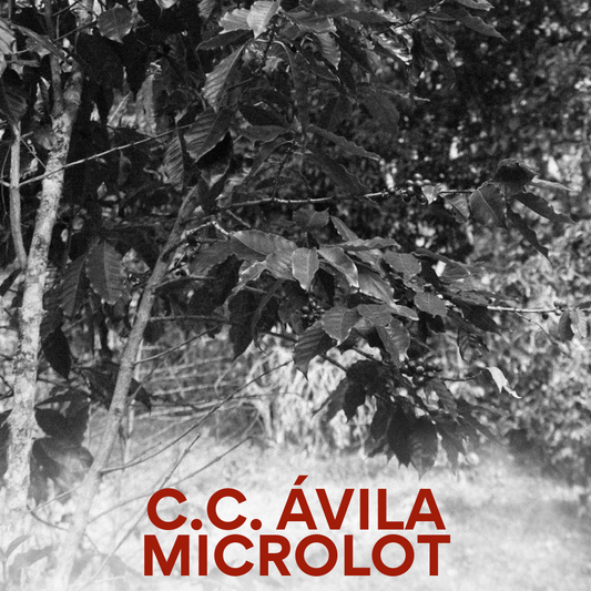 C.C. Avila Microlot - Venezuelan Single Origin Coffee 200g