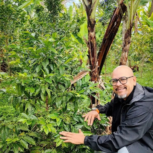 Darveris Rivas - JAVA Guayoyo Coffee Club 02