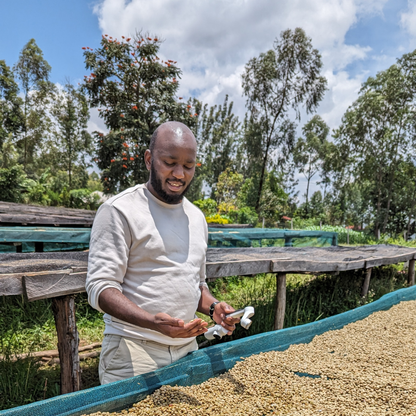 Rongo AB - KENYAN WASHED Single Origin Coffee