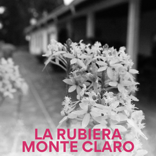 La Rubiera - Monte Claro Venezuelan Single Origin Coffee 200g