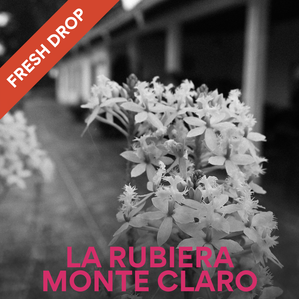 La Rubiera - Monte Claro Venezuelan Single Origin Coffee 200g