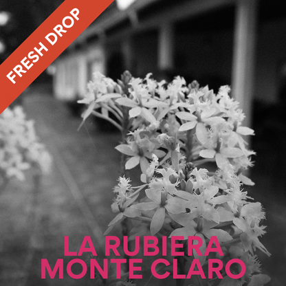La Rubiera - Monte Claro Venezuelan Single Origin Coffee 200g